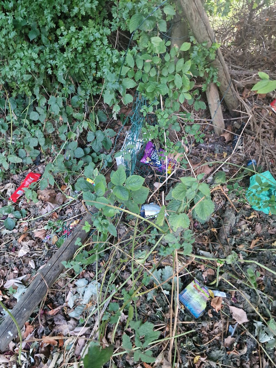 cyclebirdman's tweet image. A small amount of the huge litter problem at King George V playing fields WGC collected and bagged this morning @WelHatCouncil
What's makes it worse is the grass cutting that shreds litter into 100s of small pieces! surely litter pick B4 grass cutting ! ?