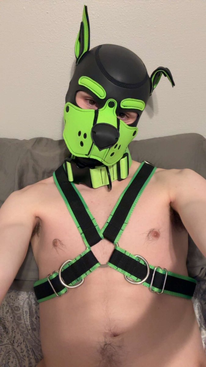SummitPup's tweet photo. A Good puppy is a caged puppy right? https://t.co/XAbCGxvY0O