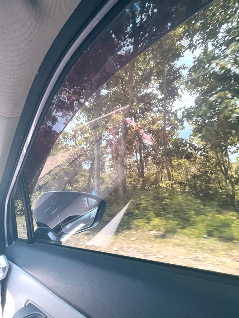 mallowsry's tweet image. back to reality :(