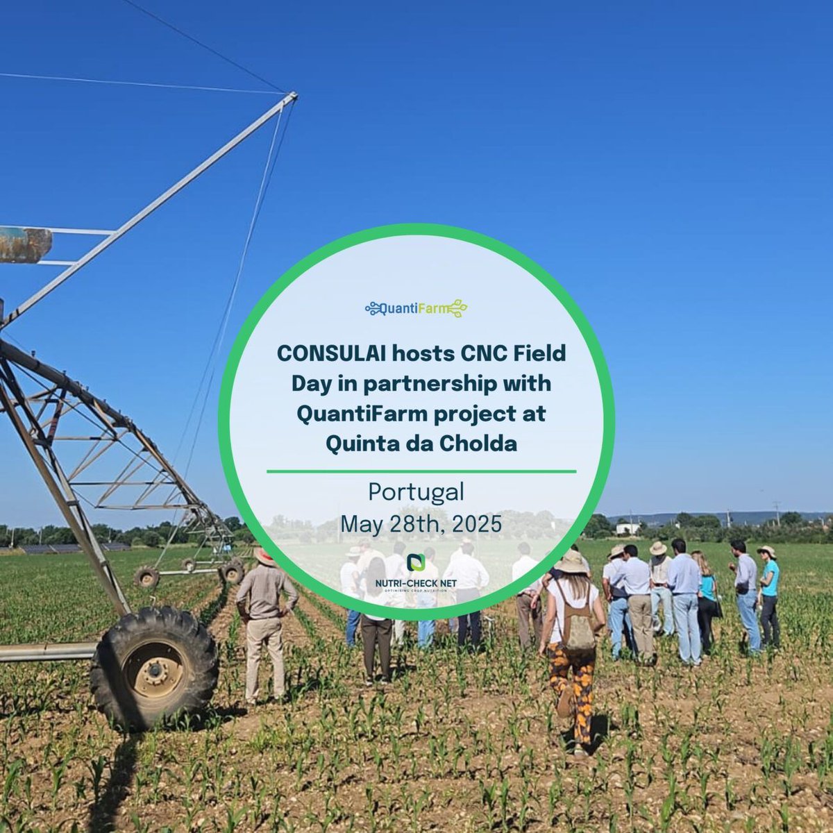 🚜 Field innovation in action! On May 28, @consulai_pt hosted a #NutriCheckNet CNC Field Day at Quinta da Cholda 🇵🇹 in partnership with @QuantiFarm
Focus on smarter nutrient 💡 and water 💧 management in maize using tools like Irristrat by @hidrosoph! 🌱🌽