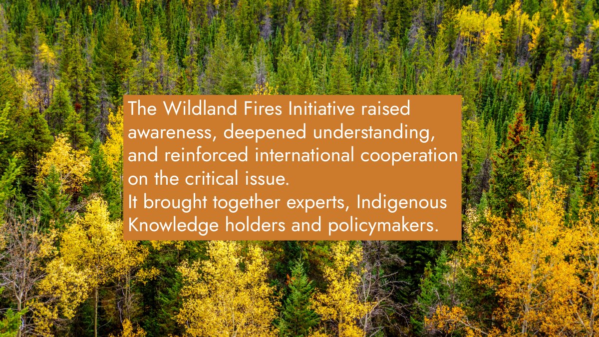 ArcticCouncil's tweet image. The Wildland Fires Initiative, led by Edward Alexander & Morten Høglund, brought together Indigenous Knowledge holders, scientists & policymakers to address the urgent issue of Arctic wildfires, as they've become a global threat.
📑 Read the new report: hdl.handle.net/11374/3374