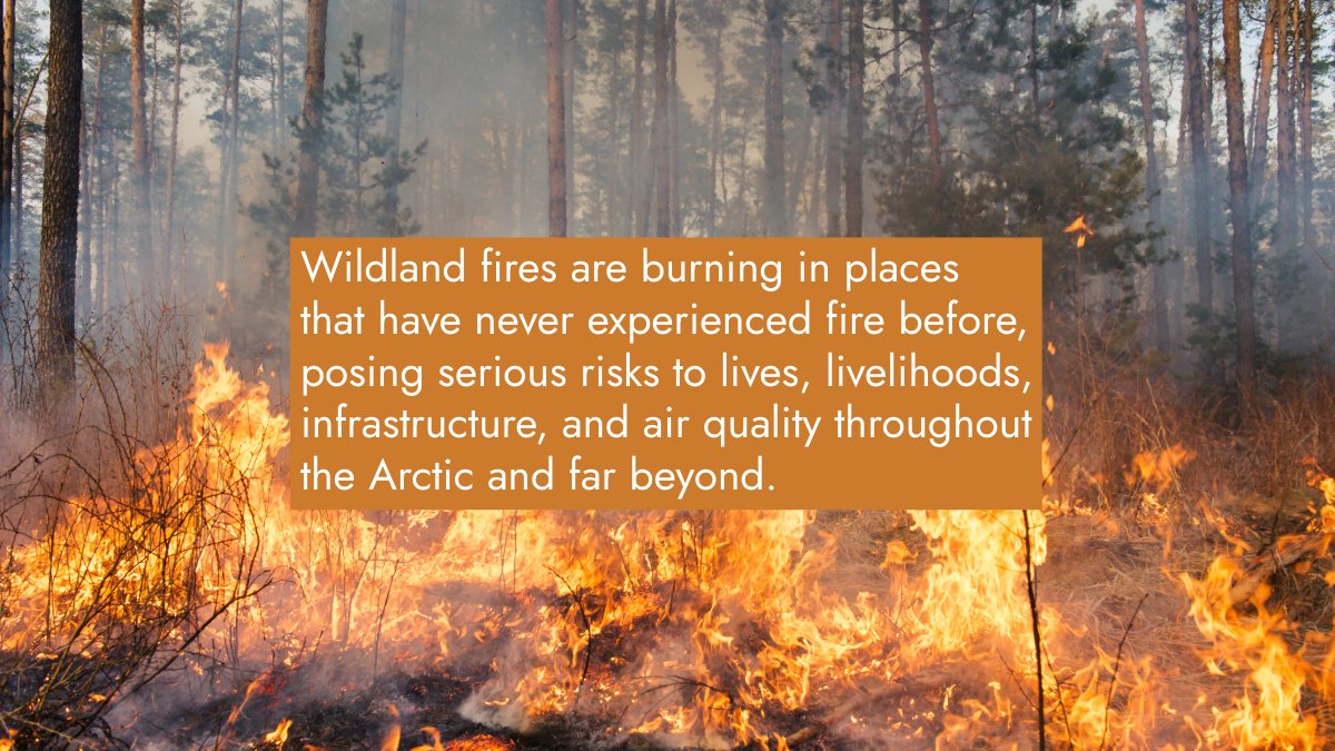 ArcticCouncil's tweet image. The Wildland Fires Initiative, led by Edward Alexander & Morten Høglund, brought together Indigenous Knowledge holders, scientists & policymakers to address the urgent issue of Arctic wildfires, as they've become a global threat.
📑 Read the new report: hdl.handle.net/11374/3374