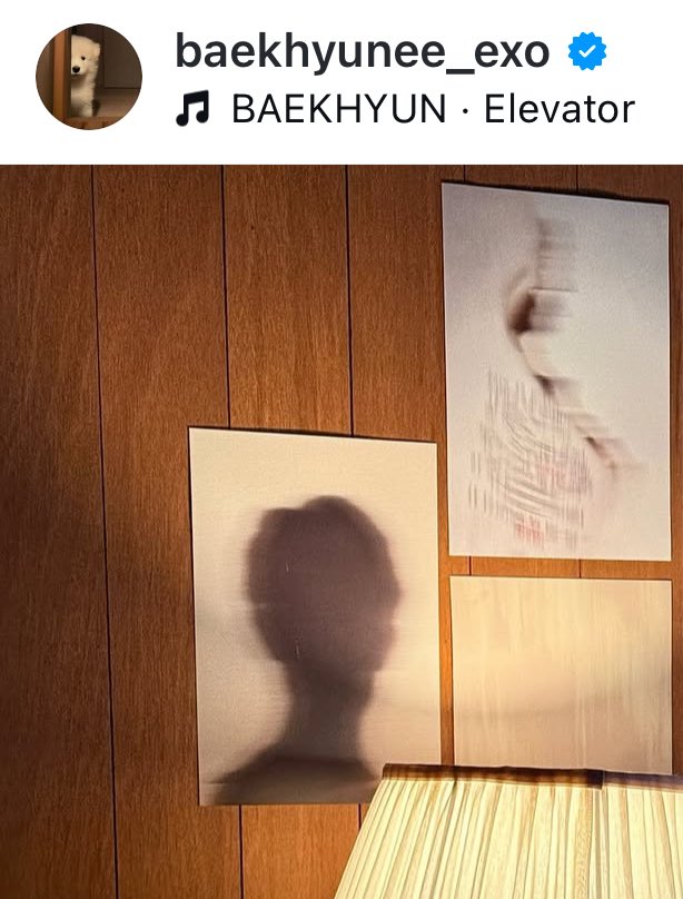 เหมือนพี่ชานยอลมาก ใช่แหละ ไม่คือถ้าหนูคิดถึงพี่เค้าก็ไปง้อสิลูกแบคฮยอน