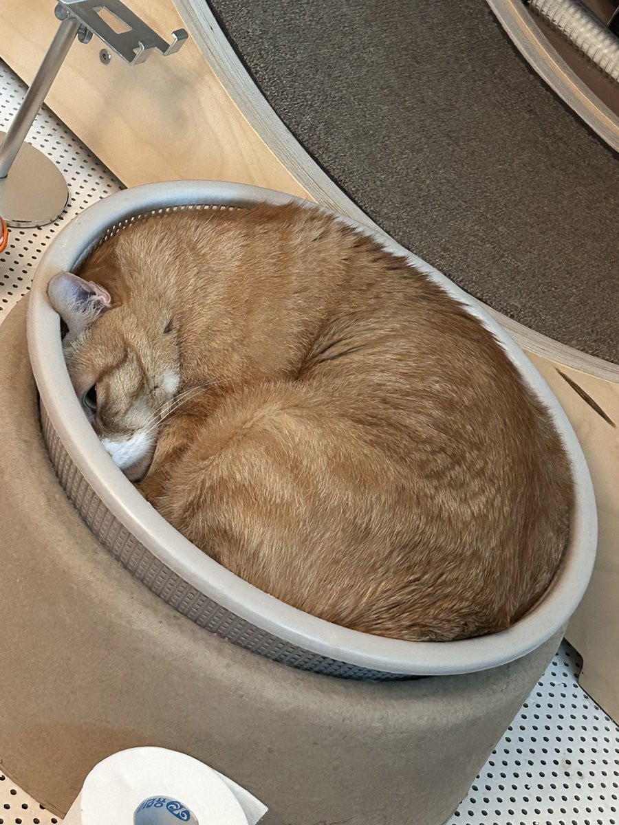 사이즈 안 맞는 거 같은데 무리함