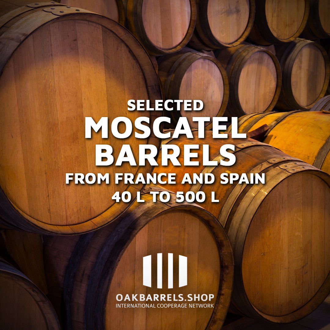 OakbarrelsS's tweet image. Moscatel barrels from 🇫🇷 France &amp;amp; 🇪🇸 Spain!
Now in sizes from 40L to 500L – perfect for aging wine, spirits, or beer.

🍇 Sweet wine-seasoned oak
🛒 oakbarrels.shop

#MoscatelBarrel #OakBarrels #BarrelAging #CraftDistilling #Homebrew #OakbarrelsShop