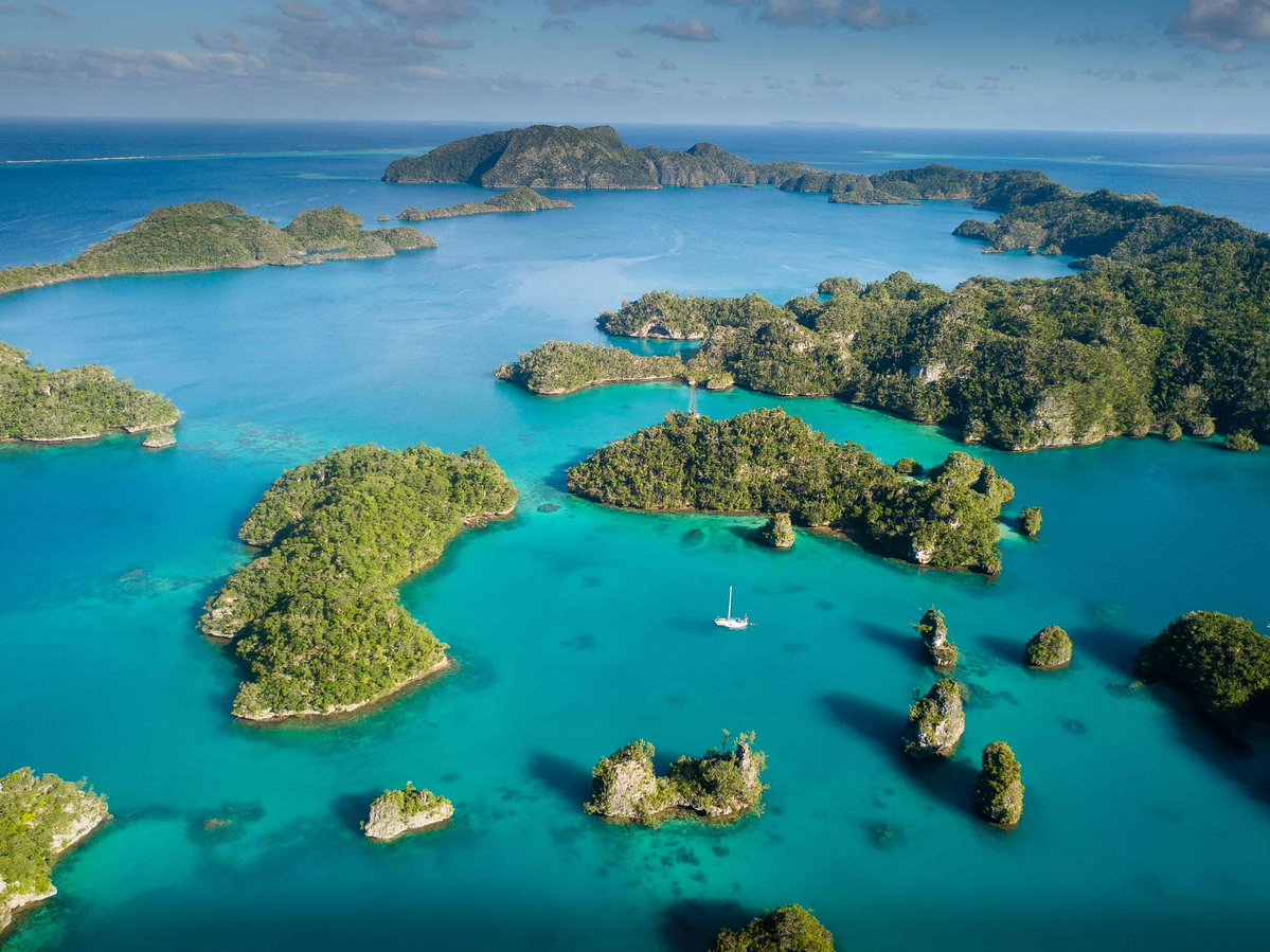 Chomicki_G's tweet image. Dream Masters by research (MRes) advertised! No fees!
'Origin and evolutionary dynamics of rainforest assembly in the Fiji Islands'
Please get in touch to to discuss the project
Calling to all botanists!
Please RT!
findamasters.com/masters-degree…