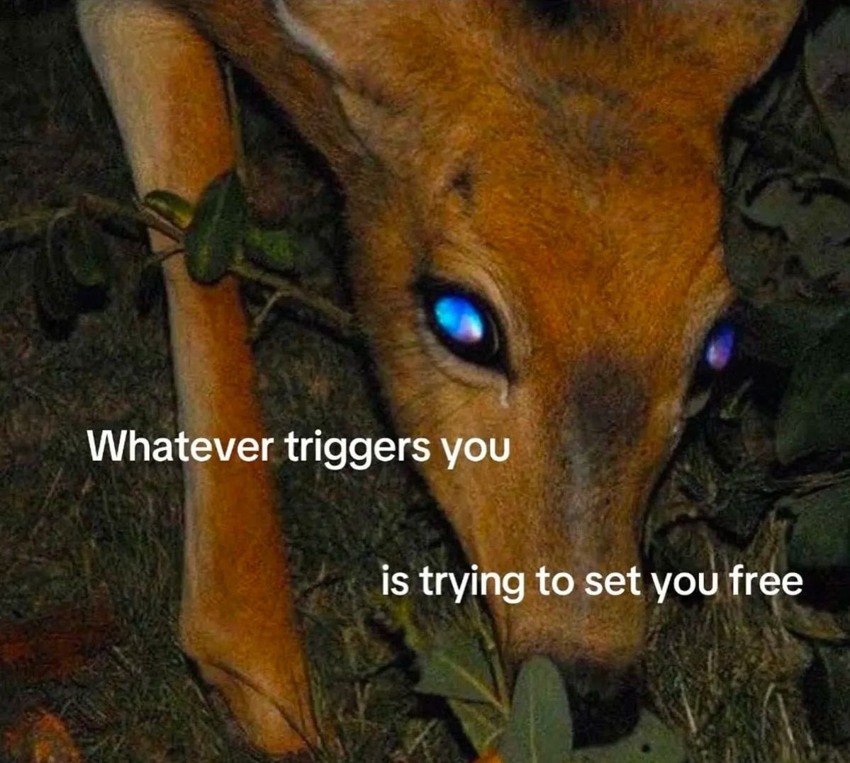 Luminous✨Projections (@trutheroo7) on Twitter photo 