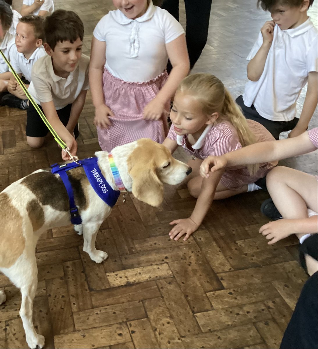 Squirrels were so lucky to meet and pet Misty the therapy dog. She was so clam and gentle. <a href="/AquilaTrustUK/">Aquila</a> <a href="/KentPoliceDover/">Kent Police Dover</a> #communityweek #therapydog