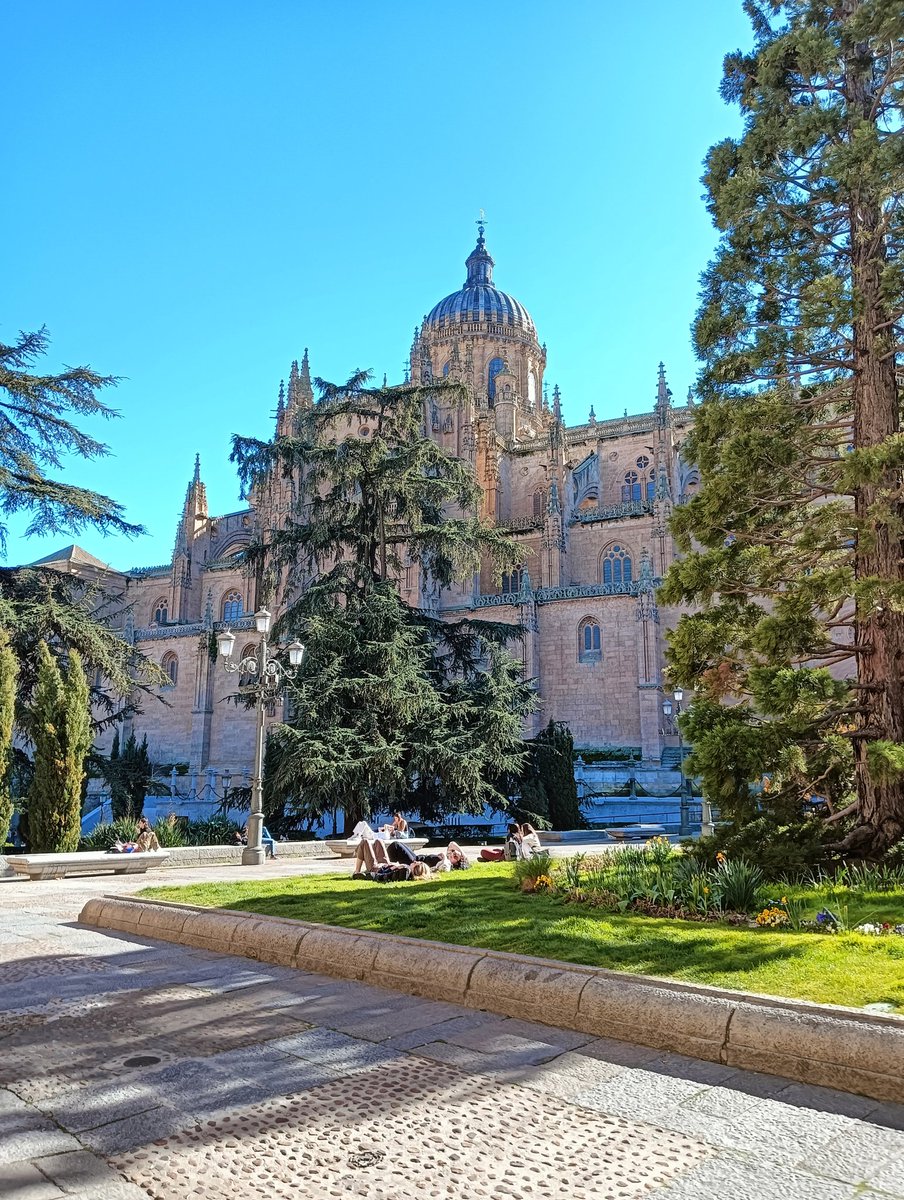 nereaaarm's tweet photo. Dos catedrales, el Palacio de Anaya, la Plaza Mayor, La Casa Lis, el Puente Romano, la Casa de las Conchas, la Clerecía, la Universidad, el Cielo de Salamanca, los Patios de Escuelas... https://t.co/YjMgLV5el0