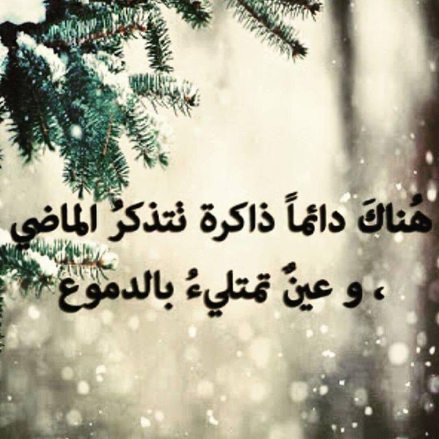 لا يرى الجمال إلا من كان يحمل بعضاً منه في جوفه فالإحساس بالجمال جمال