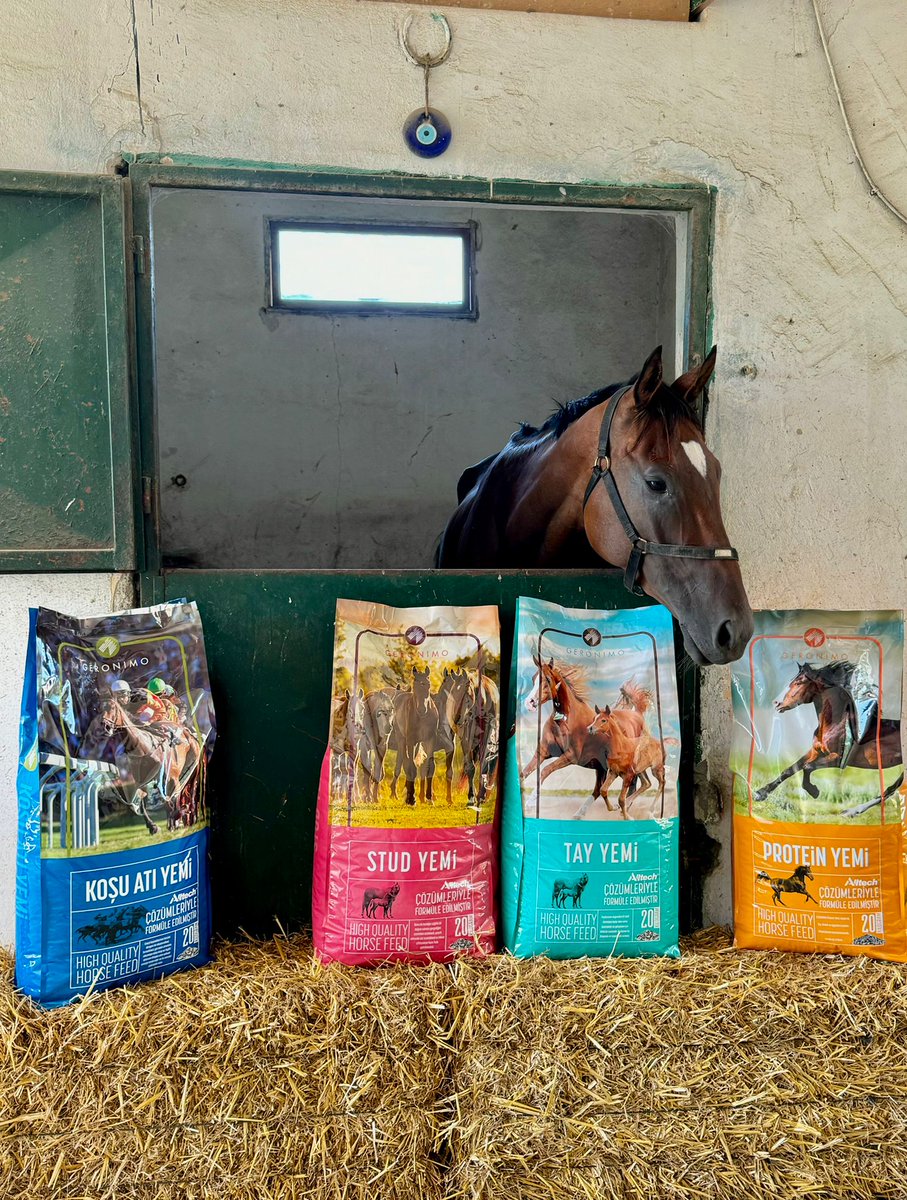 🏆 En Özel Başarıların Adresi GERONIMO AT YEMİ 🏆