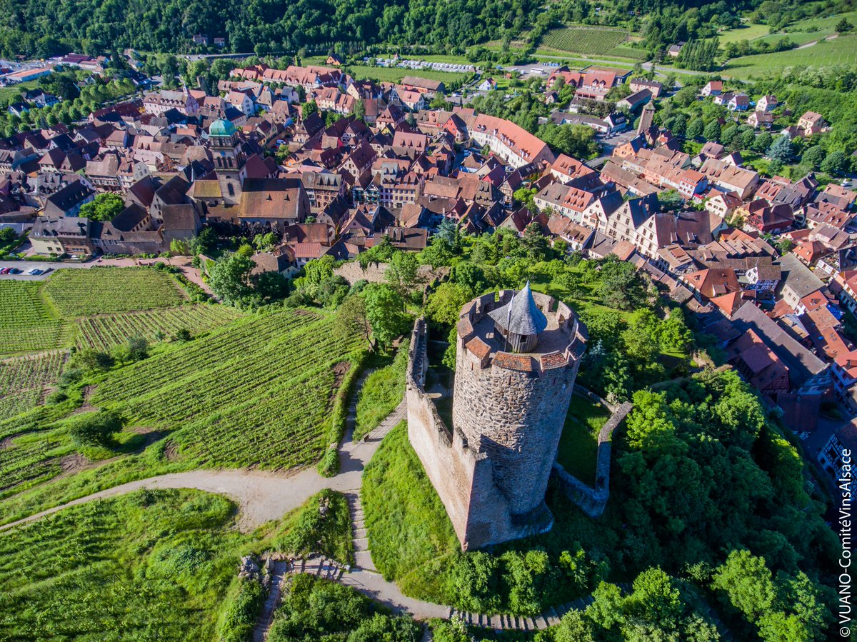 Le saviez-vous ? La dernière étape de la Tournée des Terroirs fait escale ce dimanche à Kaysersberg où son Grand Cru Schlossberg célèbre cette année ses 50 ans ! bit.ly/kaysersberg-20… #VisitAlsace #Alsace
L'abus d'alcool est dangereux pour la santé, à consommer avec modération.