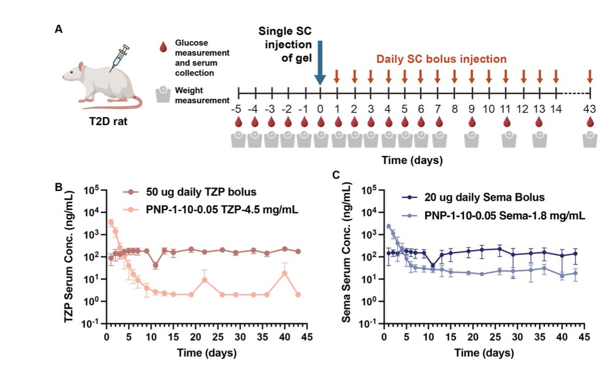 Long acting hydrogel technology for delivery if GLP-1 medicines biorxiv.org/content/10.110…