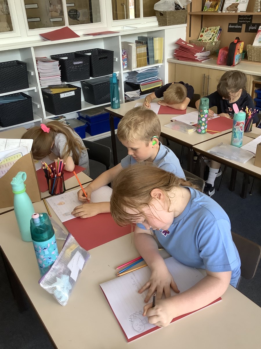 Fitzwilliam Primary tweet media