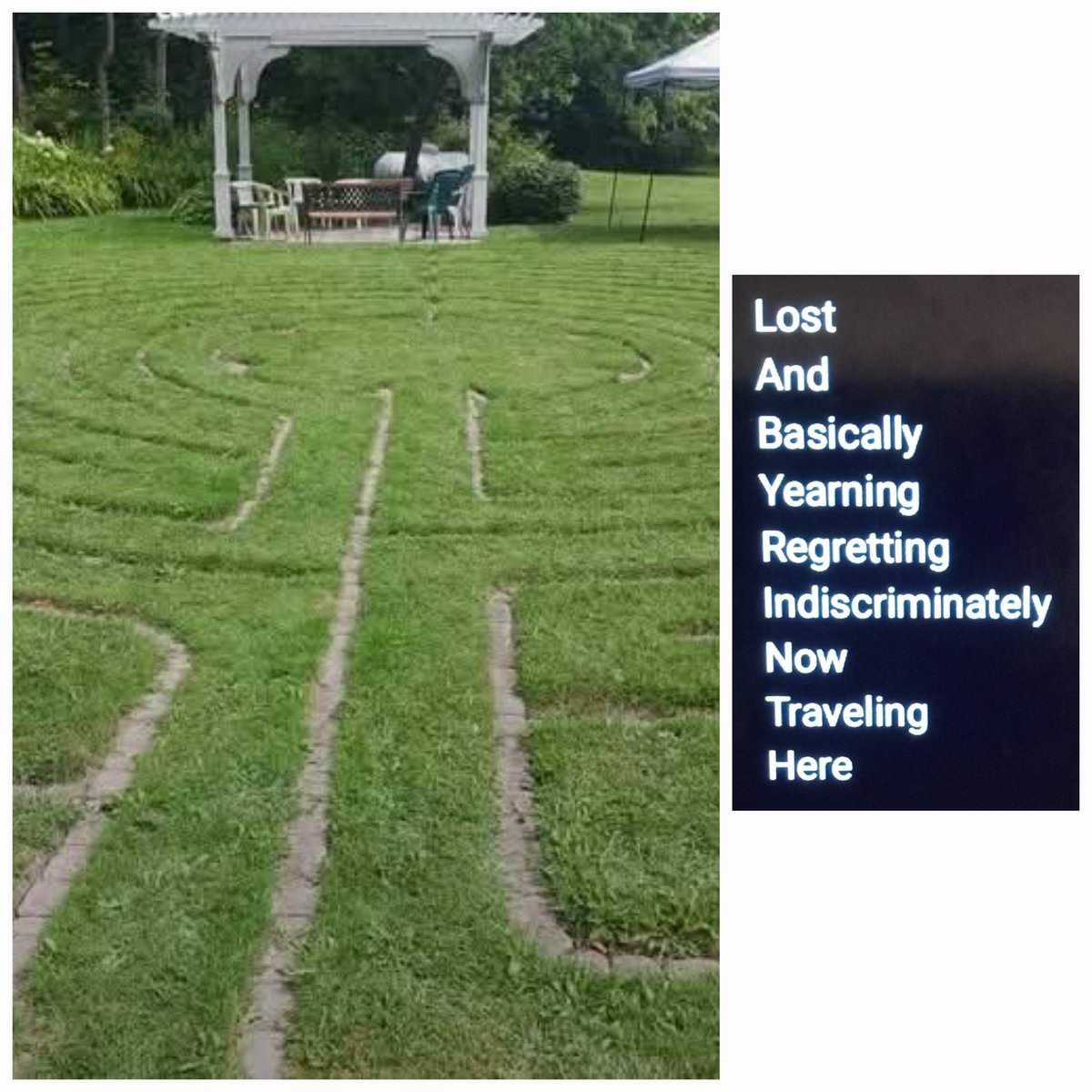 my_stee's tweet image. Perhaps it's unwelcomed but I don't care
Like invasive species, I'll put it there
Do others agree
I guess we'll see
Exercise first ammendment right, to be fair