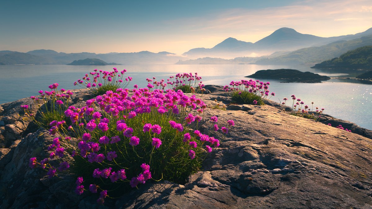 DamianShields1's tweet image. Loch Ailort from Roshven #Lochaber #Scotland #Highlands damianshields.com