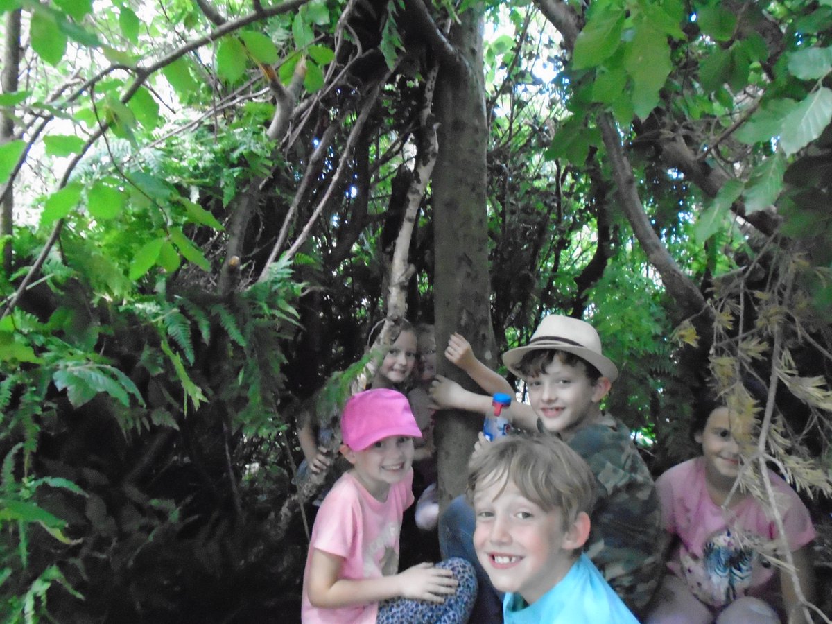 Ashdown Primary School tweet media