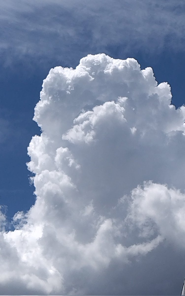 bua10732378's tweet image. こんばんは。凄い雷雨です。
雷苦手なので、イヤホンで音楽を
聞きながら帰りますよ〜。
お昼に撮った入道雲。夏ですね。
植物達はカラッカラだったので
恵みの雨かな。雷によって作ら
れる窒素も植物には大事とか。
そう思うとね、少し怖くない。