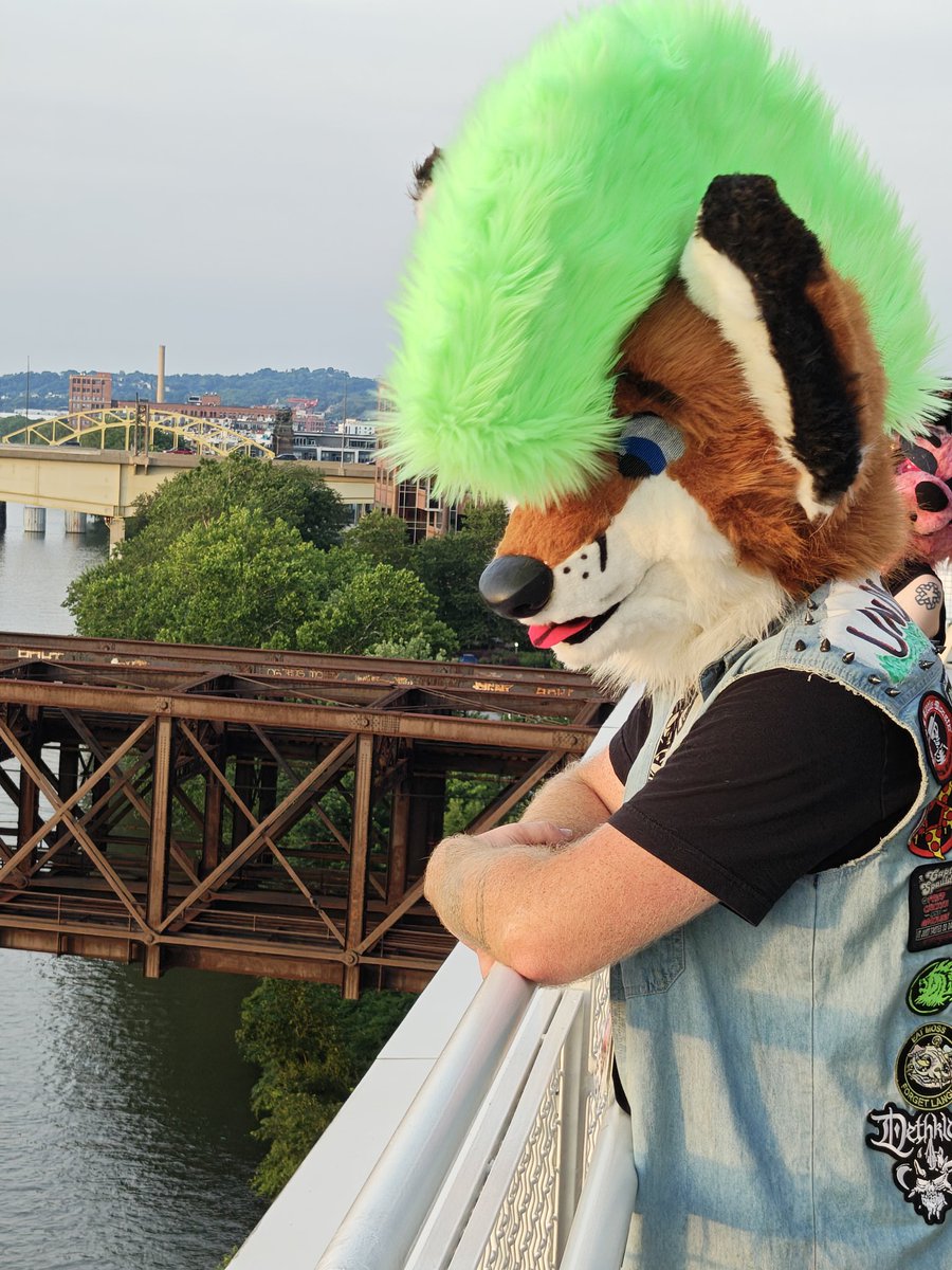 Tuna (Banjo Heeler)🔜Anthrocon tweet media