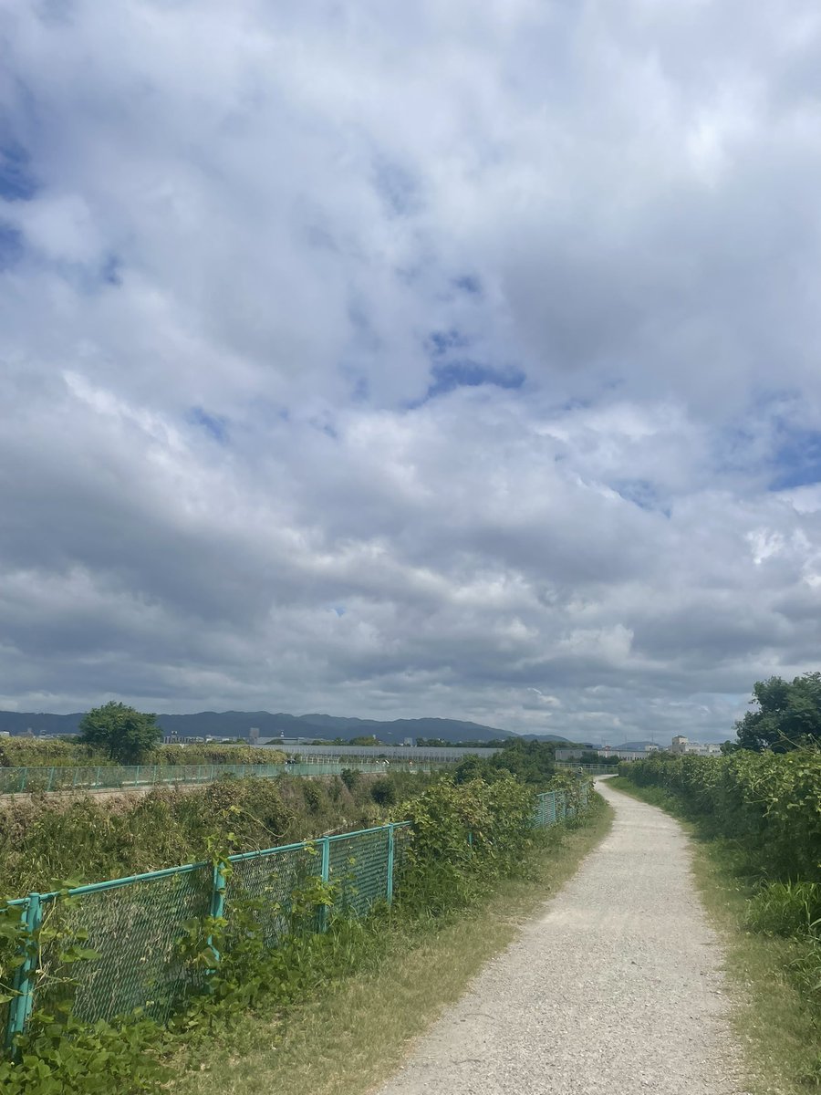 鳶 (@level_yuusha1) on Twitter photo 