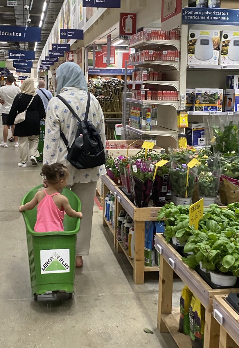 Trasporto bimbi originale, pratico e affidabile da ⁦<a href="/LeroyMerlinITA/">Leroy Merlin Italia</a>⁩