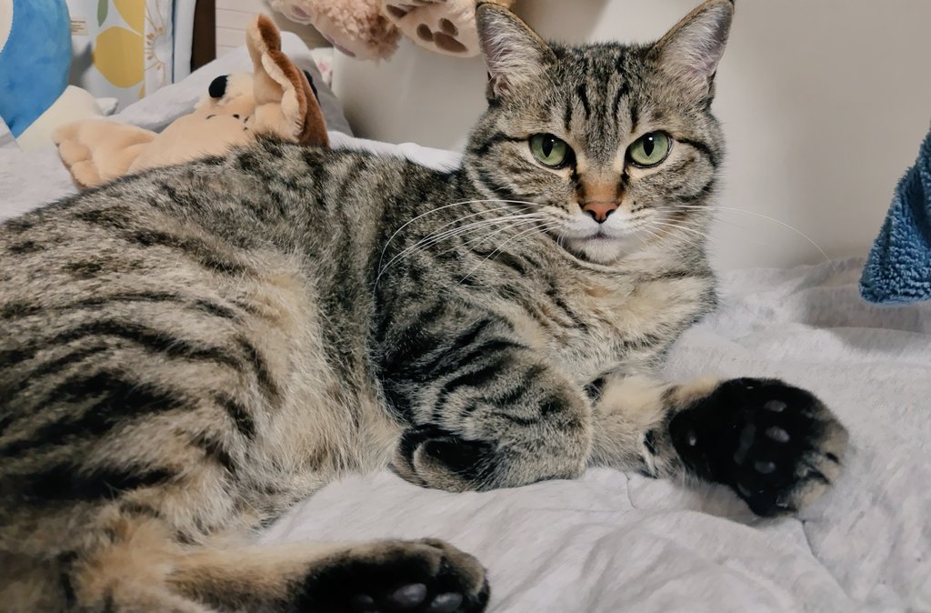 ❤️Rちゃん❤️おまとめ2点 ㊗️Delivery] Finally!! Unveiling my new car and driving date vlog