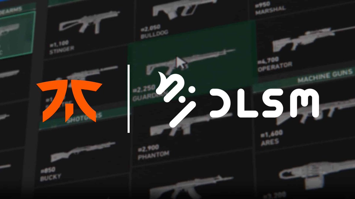 Fnatic has named DLSM as the organization's official trading partner