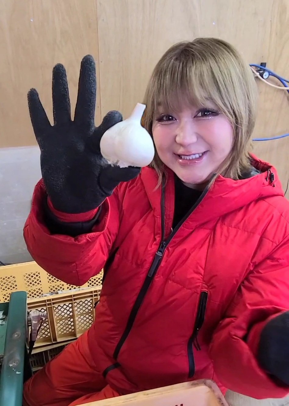 【りんごちゃん】 りんごちゃんが高さ5メートルの“巨大りんごちゃん”と対面！夢の