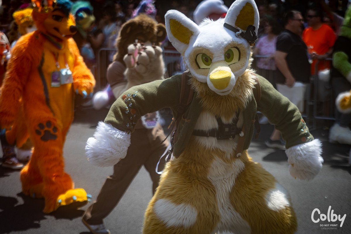 ✨️Mia core✨️ behavior during the AC parade 

📸by Colby on furtrack