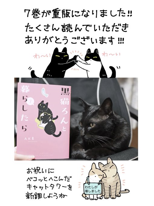 黒猫さま 専用 7点 おまとめ 黒猫まみれ 黒もふ特盛号 | necoya books web store