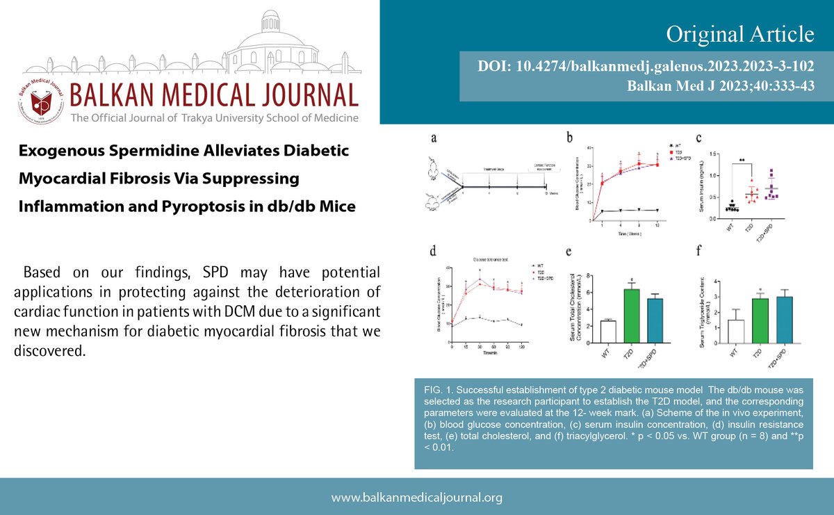 Exogenous Spermidine Alleviates Diabetic Myocardial Fibrosis Via Suppressing Inflammation and Pyroptosis in db/db Mice
You can see the free full text of the research by Can Wei et al.
Link : balkanmedicaljournal.org/uploads/pdf/pd…