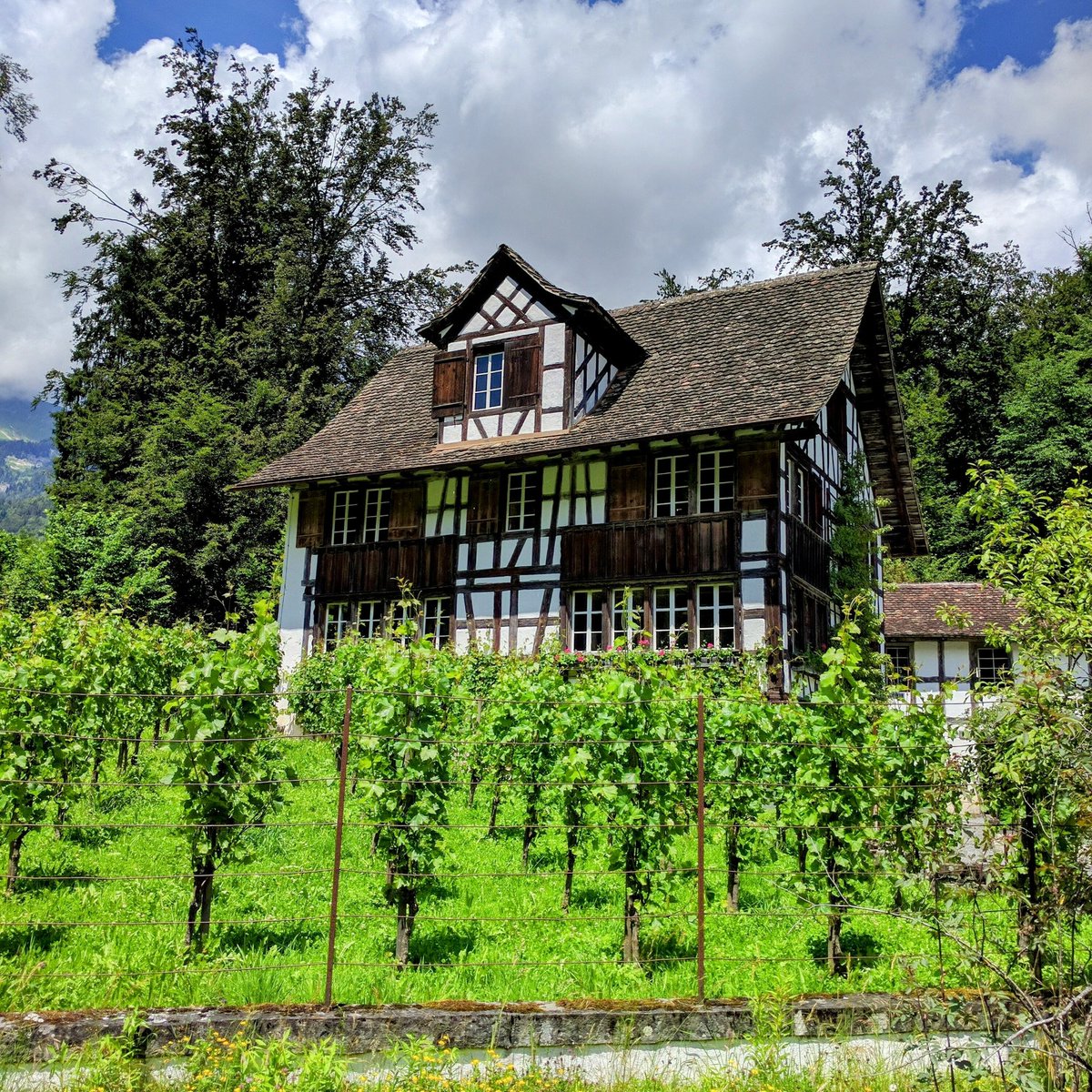 HikingSchweiz's tweet image. Had an interesting walk exploring the Ballenberg open-air historical museum near Brienz, Switzerland. They've collected dozens of historical Swiss homes and buildings from around the country and reassembled them in a beautiful mountainside park. 🇨🇭