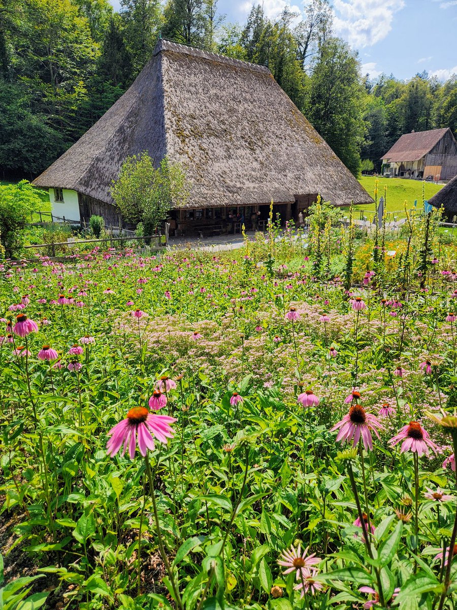 HikingSchweiz's tweet image. Had an interesting walk exploring the Ballenberg open-air historical museum near Brienz, Switzerland. They've collected dozens of historical Swiss homes and buildings from around the country and reassembled them in a beautiful mountainside park. 🇨🇭