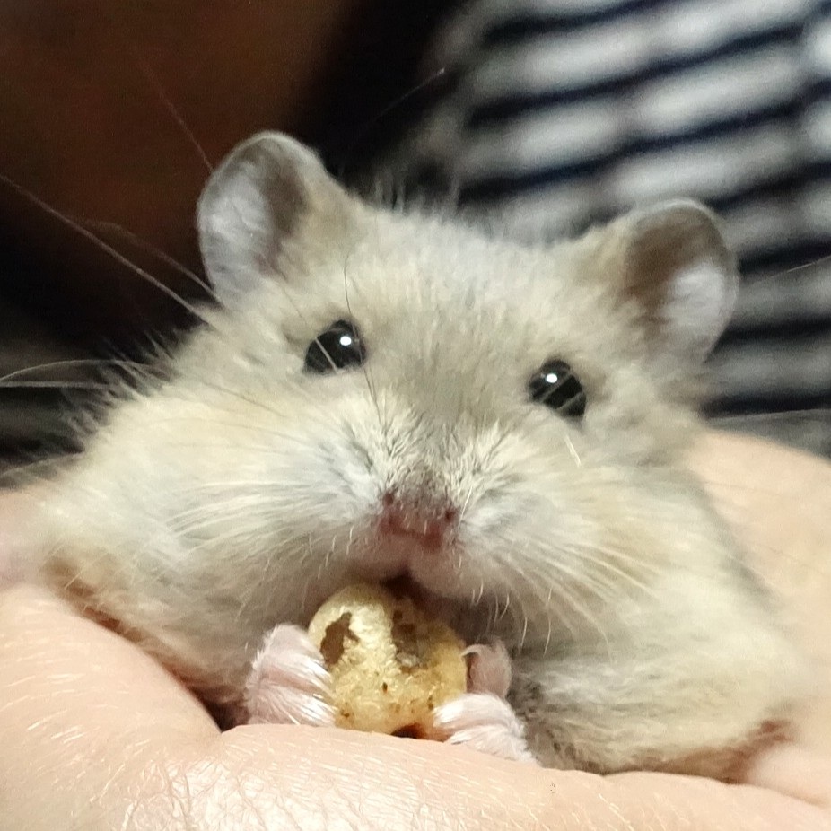 ゆあ tweet media