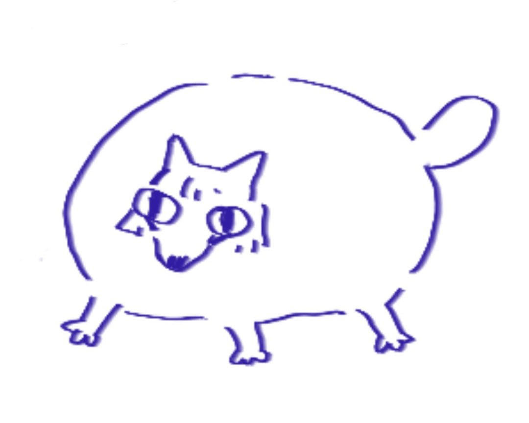 My friend drew me an ugly Ginko