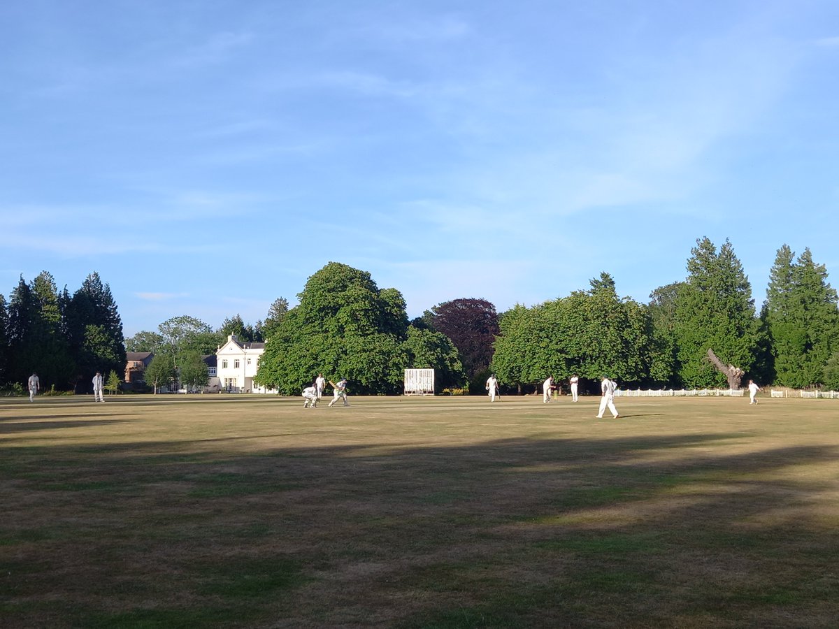 Saughall CC tweet media