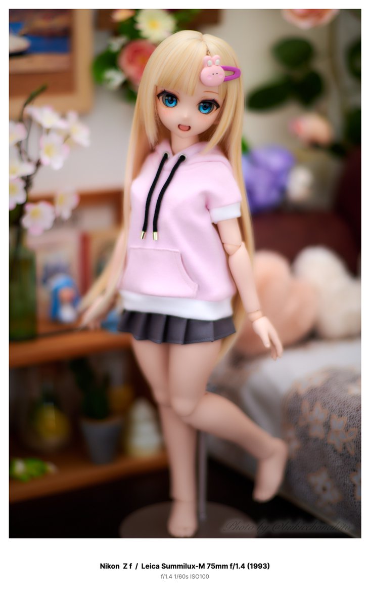 #MDDはいいぞ #メテオっ子 #うちのこかわいい