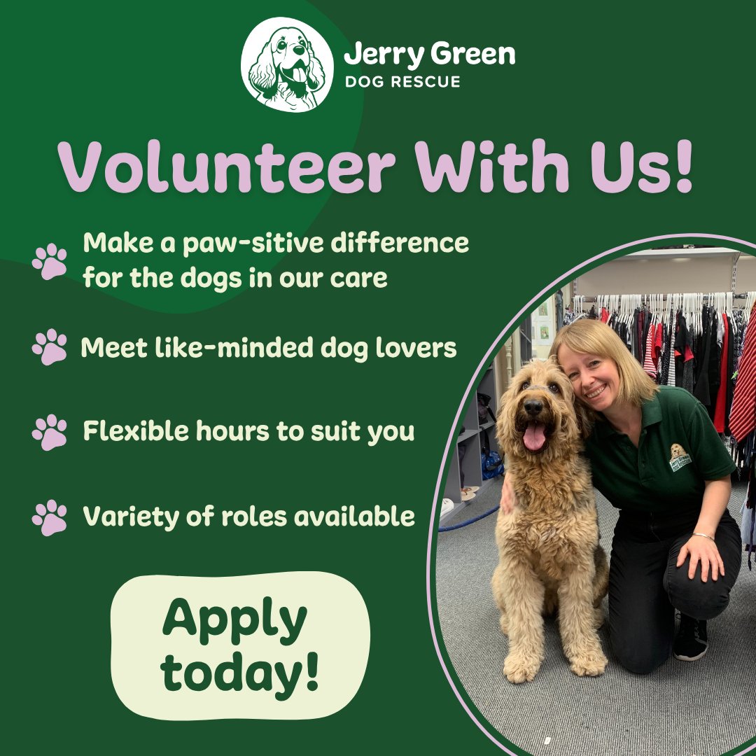 Volunteering with Jerry Green Dog Rescue is a rewarding way to enrich your own life, while helping to give second chances to rescue dogs in need.

Whatever your interest, skills or commitment of free time, we’ve got a volunteer role to suit you. 💚 ⬇️

jerrygreendogs.org.uk/support-us/vol…