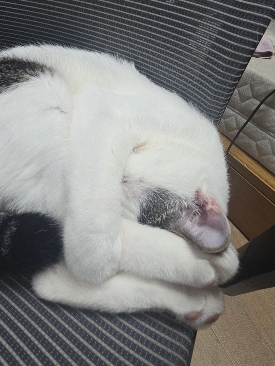 귤🍊 (@gyulmilk_) on Twitter photo 