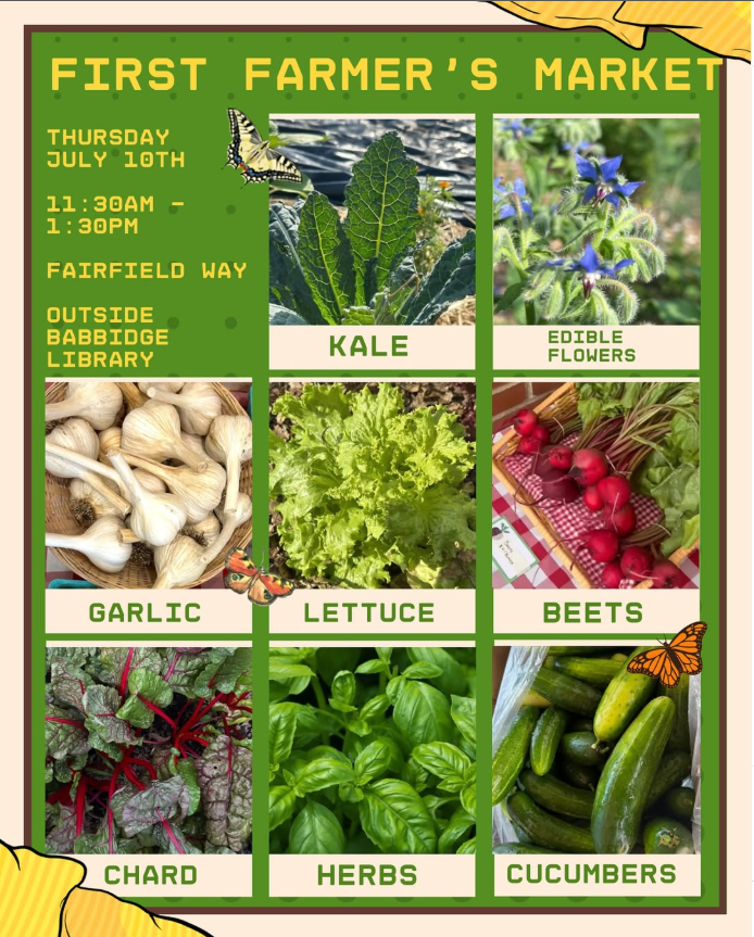 Even if there is a little rain today the Farm Fresh Market will be outside. Fresh produce and fresh baked breads/desserts from UConn Bakery (Not just desserts)!! As we get further into the season more produce will become available. Open to all. Credit/debit only.