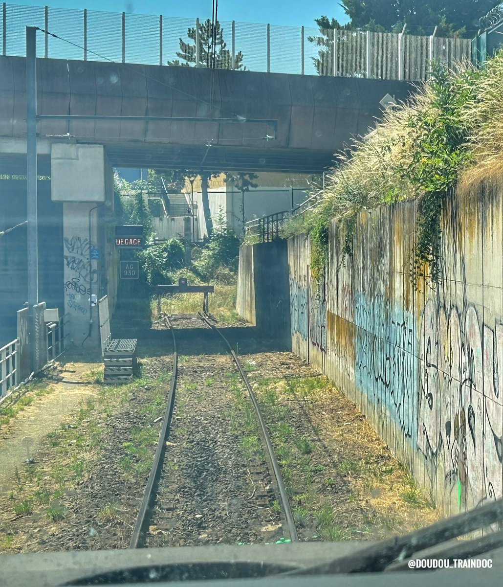 Doudou_TrainDoc's tweet image. Oui c’est bon ça va j’ai compris 🥺