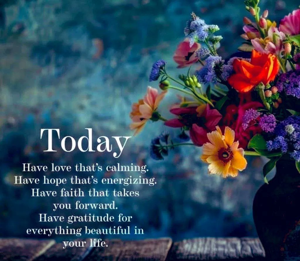 Have an amazing day everyone 🙏💜. Ditto is how I say I Love You at the end of all my YouTube videos. It's in memory of my dearest friend and companion Sarah who passed in 2018 . That's the word we used for our special way of saying I Love You . So Ditto everyone 🙏.