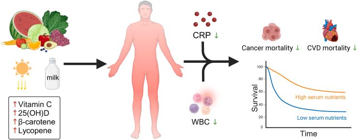 humanOS.me tweet media