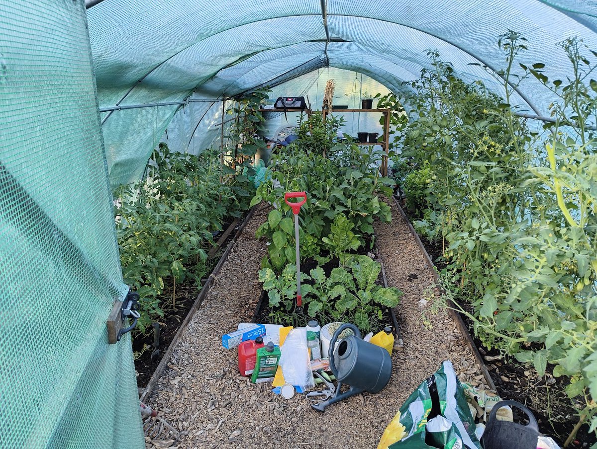 Remco 🌱 tweet media