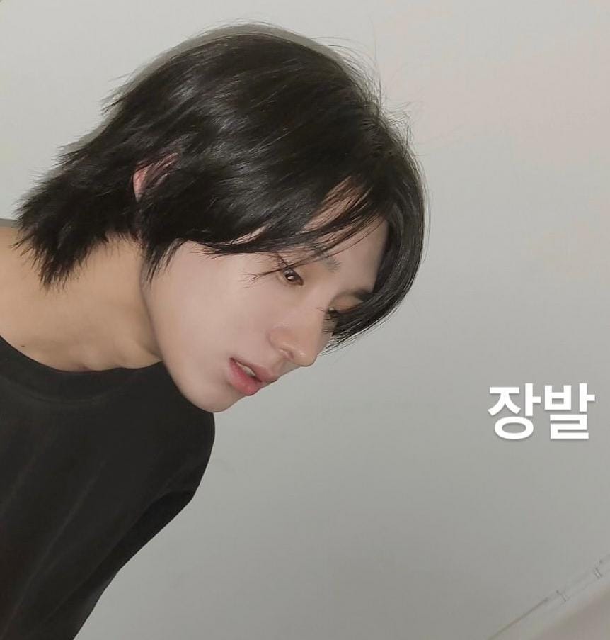 keiko ia 🦭⚡️ tweet media