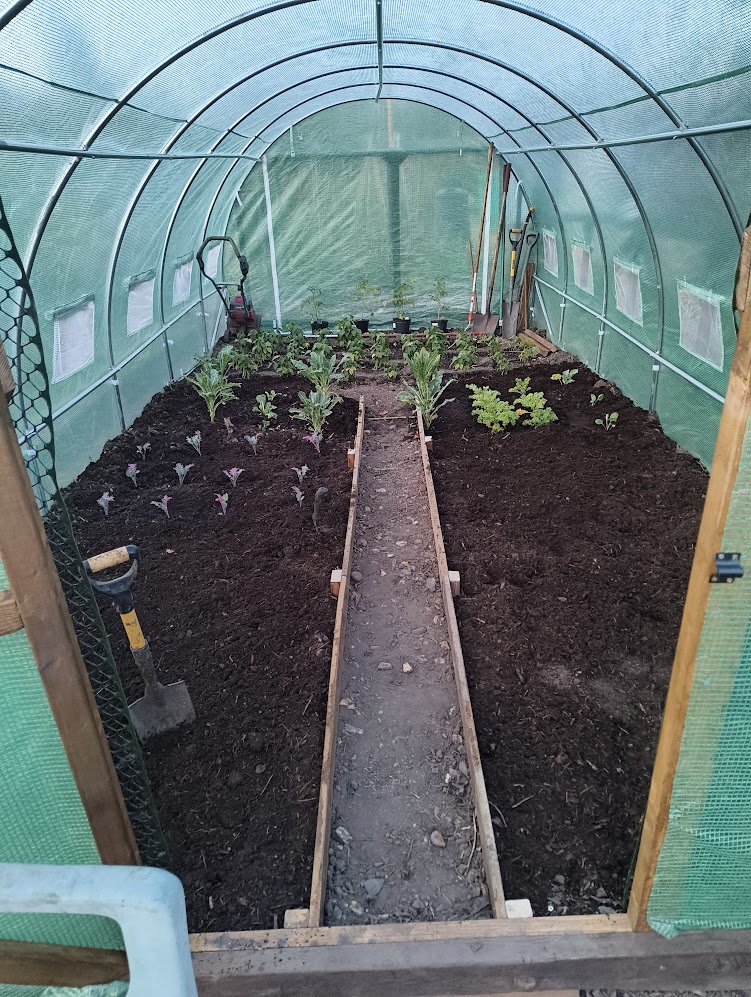 Remco 🌱 tweet media