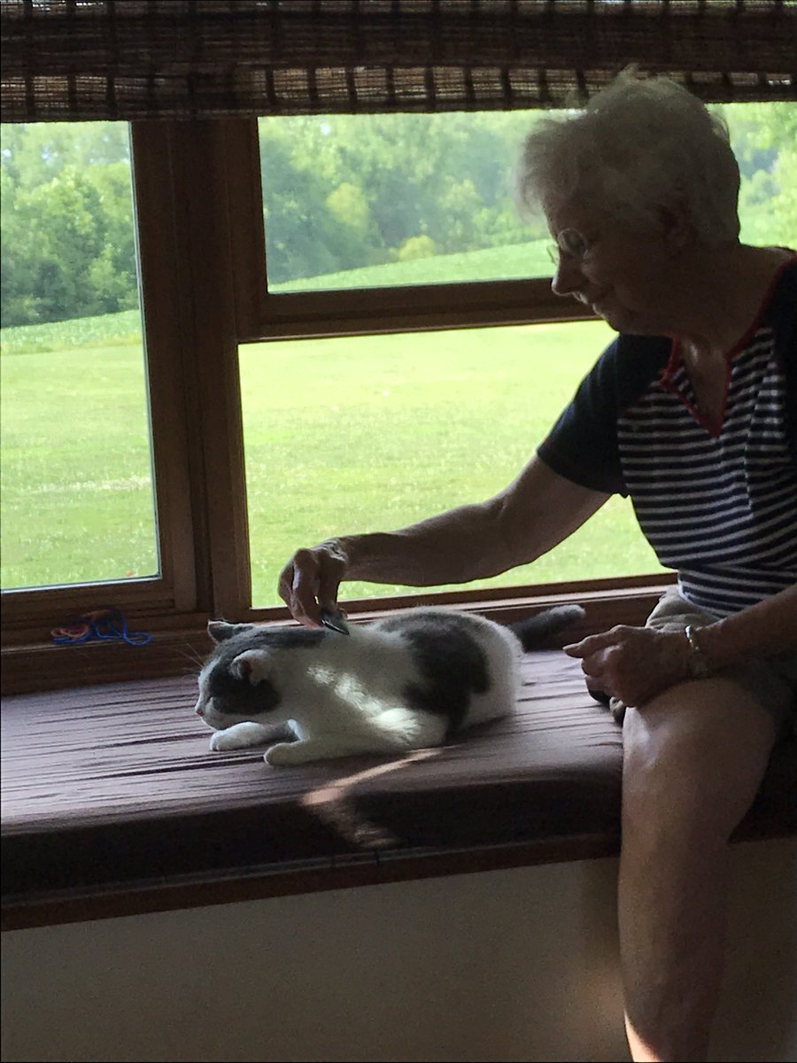 Mello Fellow (@mellow_fello) on Twitter photo ❤️Thursday’s Midwest Morning Comb, with Gran! Hot!! 90’s so we’ll be closing the windows soon! Chores are next…then napping! <a href="/JoyOfCats/">The Joy Of Cats 🫶🇨🇦</a> <a href="/LordGraydon/">Ms. Savoy & Mr. Sanderson @LordGraydon</a> <a href="/cat01cat01cat01/">Angel Kohori</a> <a href="/chigal111/">Elsie the Cat</a> <a href="/Spicyandfriends/">Spicy the Cat</a> <a href="/SkittlesFriends/">Skittles & Friends Purrs4Peace, ☮️🇨🇦🇺🇦</a> <a href="/PickleAndNancy/">Pickle and Nancy</a> #cats ❤️Thursday’s Midwest Morning Comb, with Gran! Hot!! 90’s so we’ll be closing the windows soon! Chores are next…then napping! <a href="/JoyOfCats/">The Joy Of Cats 🫶🇨🇦</a> <a href="/LordGraydon/">Ms. Savoy & Mr. Sanderson @LordGraydon</a> <a href="/cat01cat01cat01/">Angel Kohori</a> <a href="/chigal111/">Elsie the Cat</a> <a href="/Spicyandfriends/">Spicy the Cat</a> <a href="/SkittlesFriends/">Skittles & Friends Purrs4Peace, ☮️🇨🇦🇺🇦</a> <a href="/PickleAndNancy/">Pickle and Nancy</a> #cats