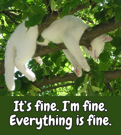 dusterdog1's tweet image. GOOD MORNING WITTER, DARLINGS!!!
It's been one of those weeks.
But, I'm fine.