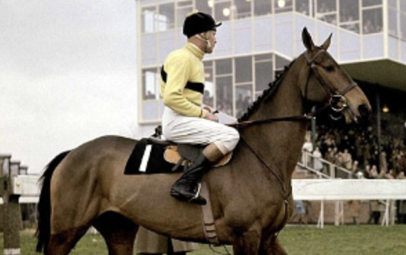 USASteeplechase's tweet photo. Pick One!
#Arkle #Flyingbolt #KautoStar #SprinterSacre https://t.co/rm2fUD49wM