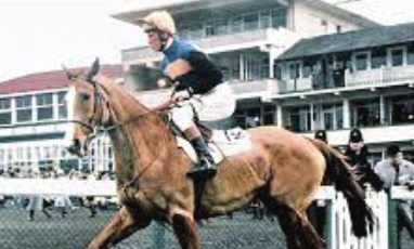 USASteeplechase's tweet photo. Pick One!
#Arkle #Flyingbolt #KautoStar #SprinterSacre https://t.co/rm2fUD49wM